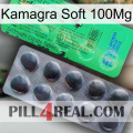 Kamagra Soft 100Mg new04